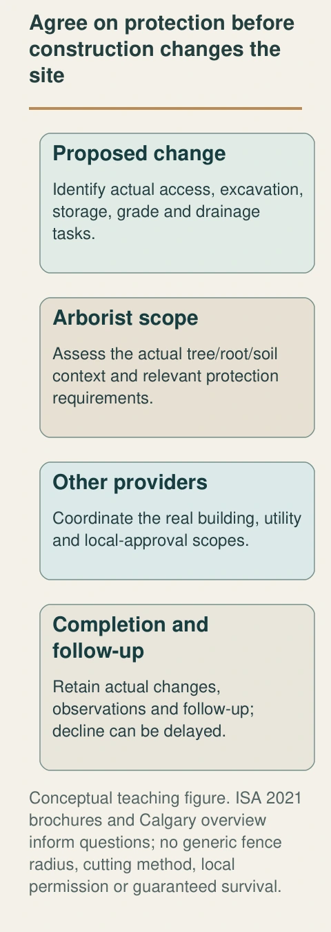 Excavation, storage, changed grade and drainage can affect a tree’s root and soil environment. The figure places arborist review and coordination before the relevant project, then retains completed changes and follow-up.
